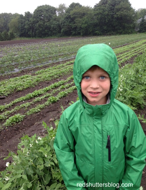 R during our first CSA visit this season - Now that we've fully embraced summer, it's hard to remember back when we had to wear coats!