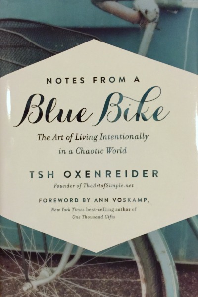 notes-from-a-blue-bike