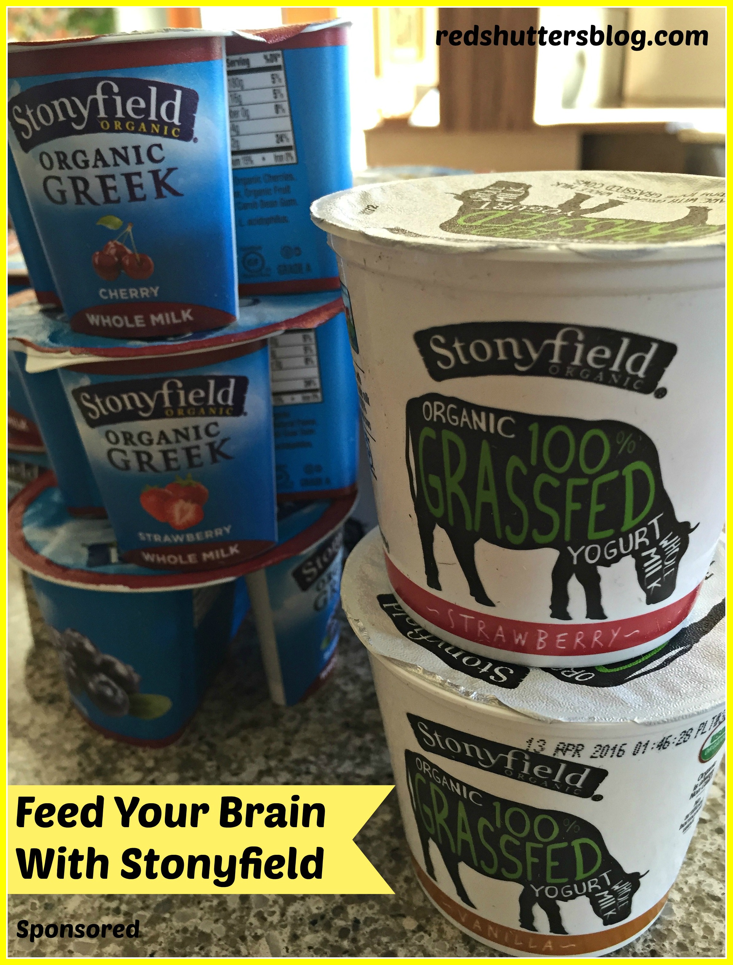 Feed Your Brain with Stonyfield Yogurt Red Shutters