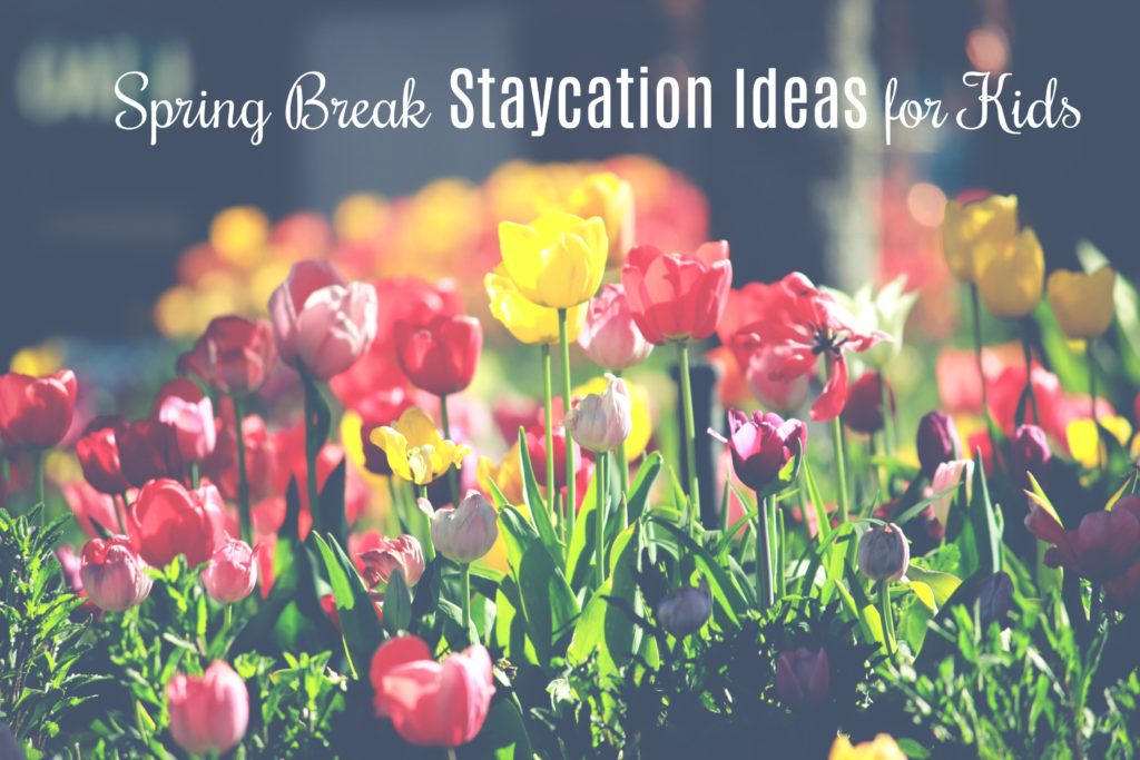 pring break staycation ideas for kids